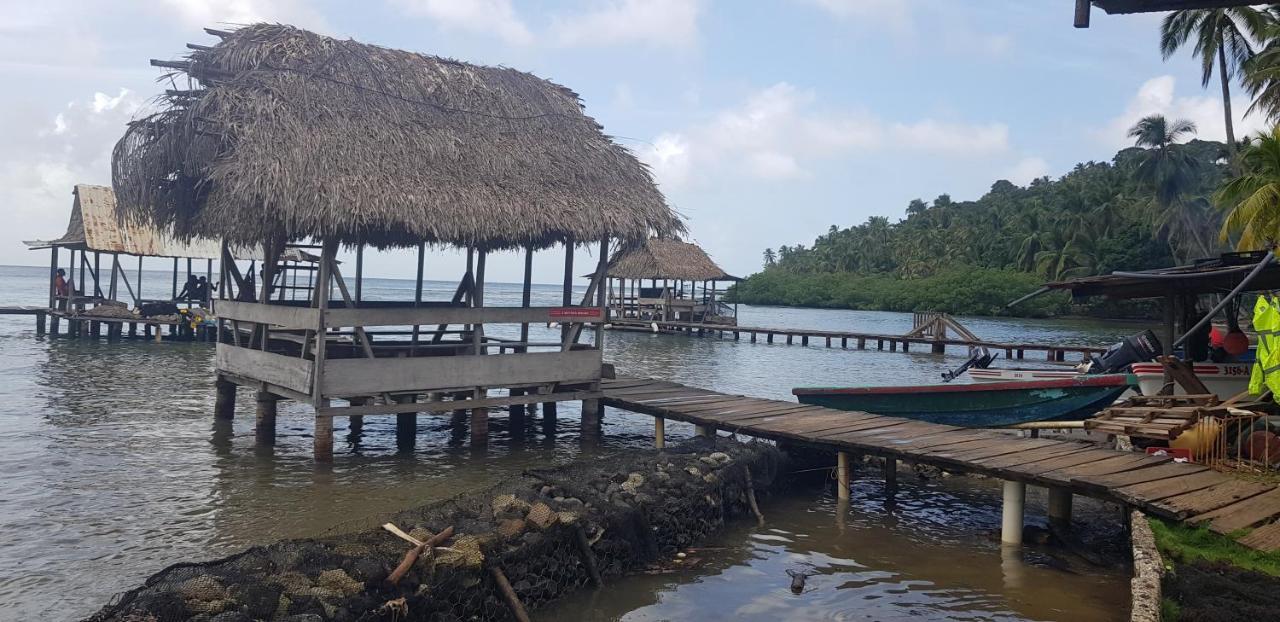 Rainforest Lodge Del Rio Portobelo Luaran gambar