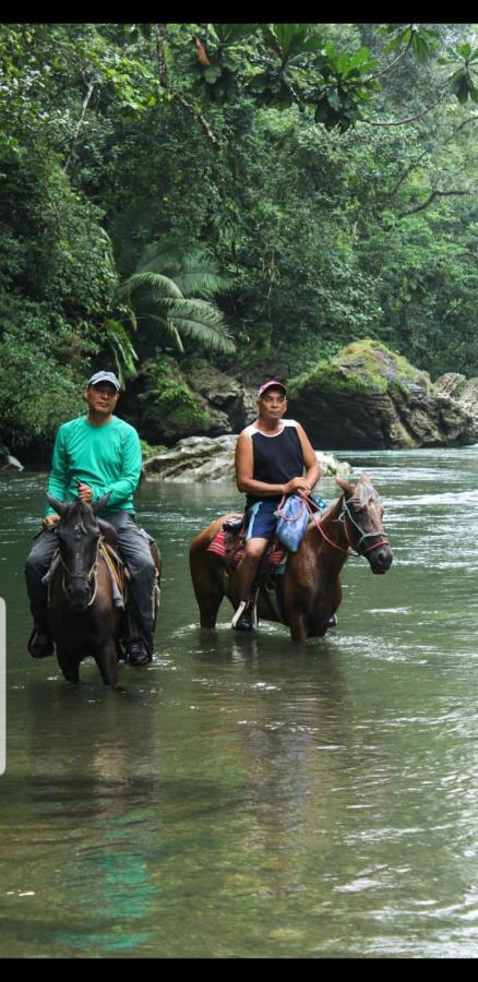 Rainforest Lodge Del Rio Portobelo Luaran gambar